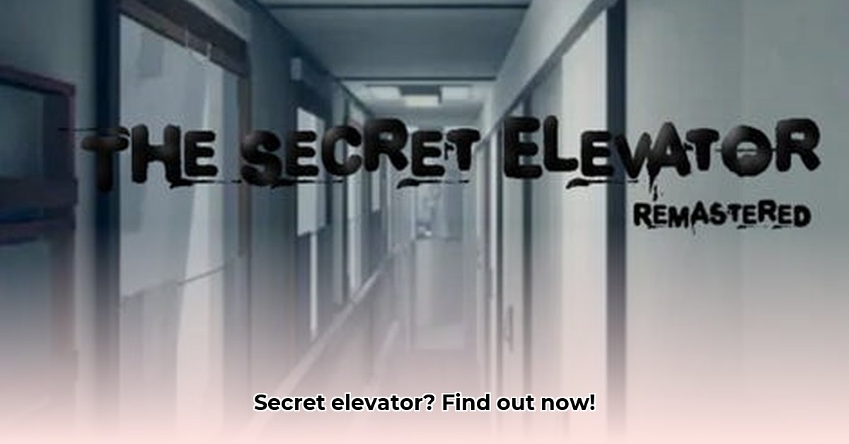 the-secret-elevator